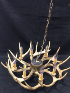 Antler Chandelier