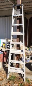 A Medium Duty Commercial Type II 5'9" "A" Frame Ladder