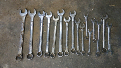 (16) Assorted Sized Wrenches