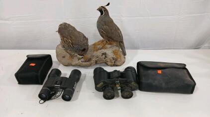 (1) Bushnell Power View 2 16x32 Binoculars (1) Vintage Bushnell Insta-Focus 7x35 Binoculars (1) California Quail Taxidermy Statue
