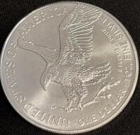 2025 American Silver Eagle &ldquo;Walking Liberty&rdquo; coin - 2