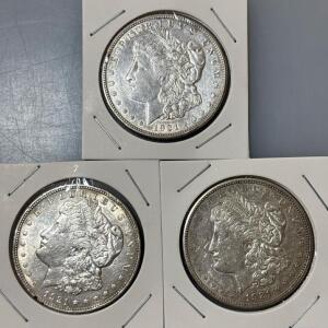 (3) 1921-D Morgan Silver Dollar Coins