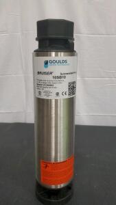 GOULDS Water Technology Submersible Pump 10sB10