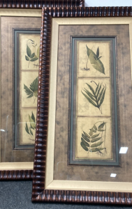 Framed Leaf Pictures