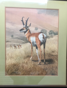 &lsquo;Pronghorn&rsquo; Print by Charles Frac&eacute;