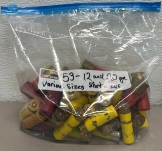 (53) Remington & Winchester Shotgun Shells, 12 & 20 Gauge, 2 1/2" & 3"