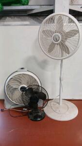 (1) 50" Lasko Standing Fan (1) 24"H Cyclone By Lasko Fan (1) Black Fan