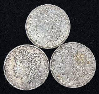 (3) 1921-D Morgan Silver Dollar Coins