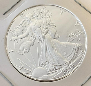 2025 Walking Liberty 1oz Fine Silver Dollar Coin