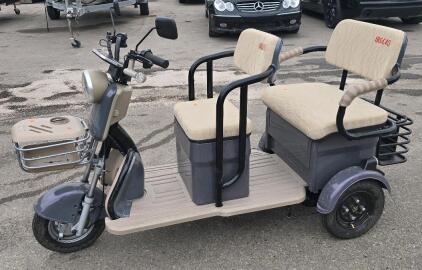 2025 Ingersoll Rand Tri-Wheeled Golf Cart - BRAND NEW