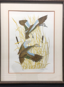 &lsquo;Blue Winged Teal&rsquo; by Gordon Tate