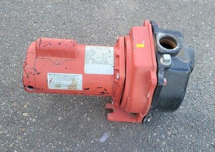 (1) Red Lion Cast Iron Shallow Well Jet Pump