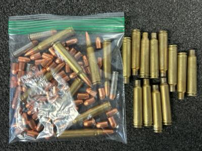 Bag Of Mixed Ammo and Brass Casings