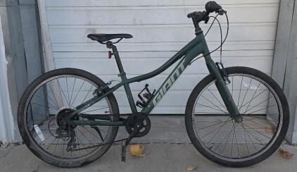 Giant 24" XTC Bike, green