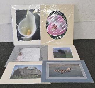 (6) Natural Themed Photo Prints- Photographs By Wayne Kidwell (Former Idaho Supreme Court Justice)