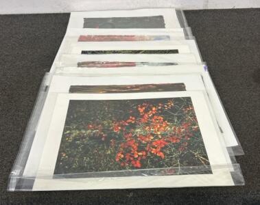 (10+) Canvas Photographs