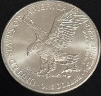 2025 American Silver Eagle &ldquo;Walking Liberty&rdquo; coin - 2