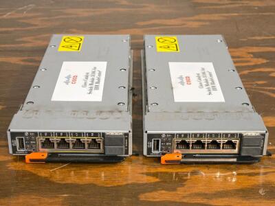(2) Cisco Catalyst Switch Module 3110G for IBM Bladecenter