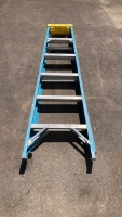 Werner Ladder