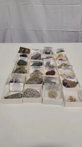 24 Piece Rock,Mineral And Fossil Collection