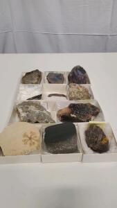 11 Piece Rock,Mineral And Fossil Collection