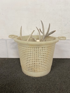 Basket With Various Sized Antlers