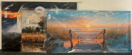 (3) Canvas Wall Art Prints