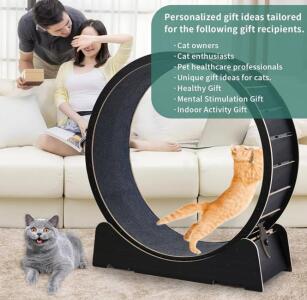 Large Cat Exercise Wheel