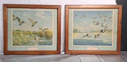(2) Framed Pieces Of Waterfowl Wall Art By Richard E. Bishop, Both 19" X 17"