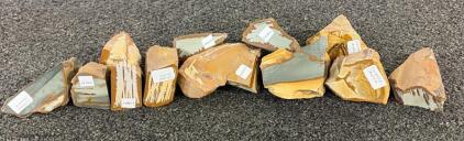 (12) Polished Owyee Jasper Rocks!!