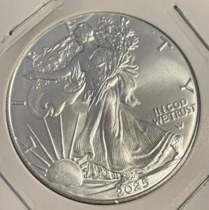 2025 Walking Liberty 1oz Fine Silver Dollar Coin