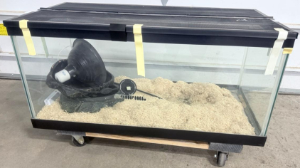 Glass Reptile Terrarium with Heat Lamp, Screen Lid, Rolling Base