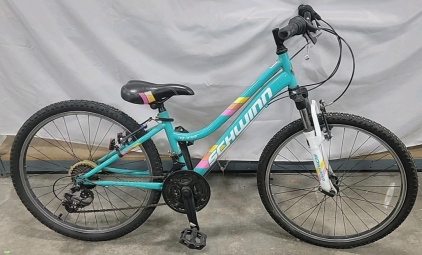24" Schwinn MTN Bike Light Blue