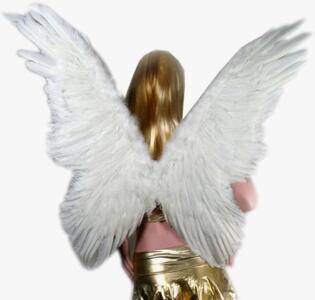 (4) Pairs Of XL Feather Angel Wings