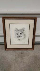 Cougar Portrait