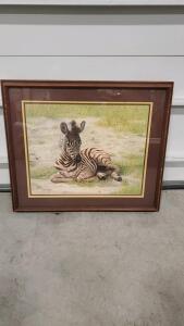Charles Frac&eacute; Zebra Foal Framed Art Print, Signed, 28x24 inches