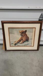 Framed Art Print "Lion Cub" by Charles Frace, Plate XI, 1976