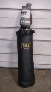 Everlast PowerCore Punching Bag and 14oz Pro Style Training Gloves