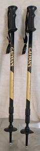 (1) Pair Of Galyan's - Vista Trekking Poles
