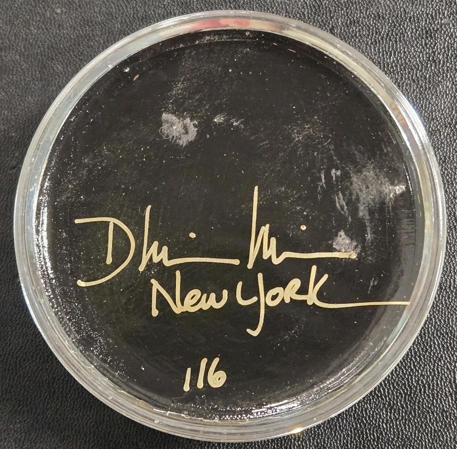 Vintage Hand-Signed Durwin Rice Glass Paper Weight & Vintage Faux Tusk ...