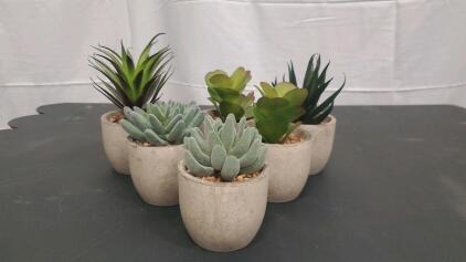 (6) Fake Plants 6"