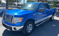 2011 Ford F-150 - Clean Truck!