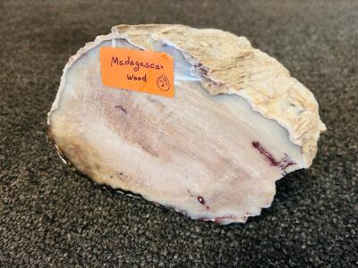 Petrified Madagascar Wood Specimen (7"x 5.5"x 4.5")