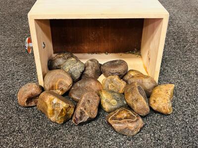 Bulk Lot of Natural Polished Pre-Formed Stones- Argentine Agates