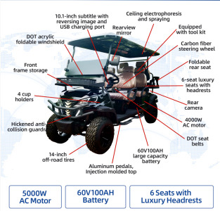 SDLANCH SDLGC100 Electric Golf Carts 6 Seats