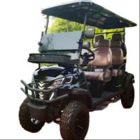 SDLANCH SDLGC100 Electric Golf Carts 6 Seats - 4