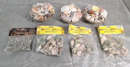 (7) Packs Of Seashells & (1) Box Of Assorted Crafting Paraphernalia