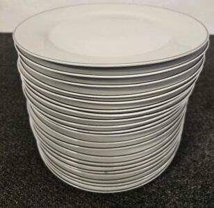 (21) Single Silver Ringed White Plates