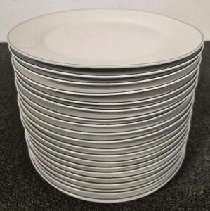 (21) Porcelain White Dinner Plates