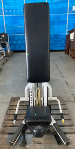 Keiser Seated Tricep Press